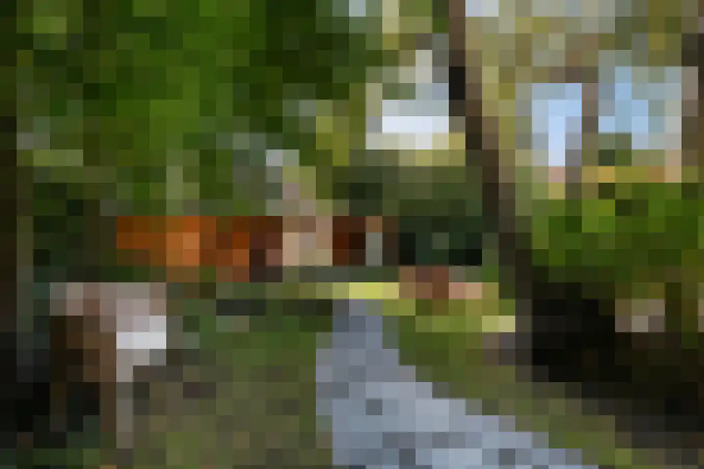Spotvogellaan 94 Den Haag thumbnail 26