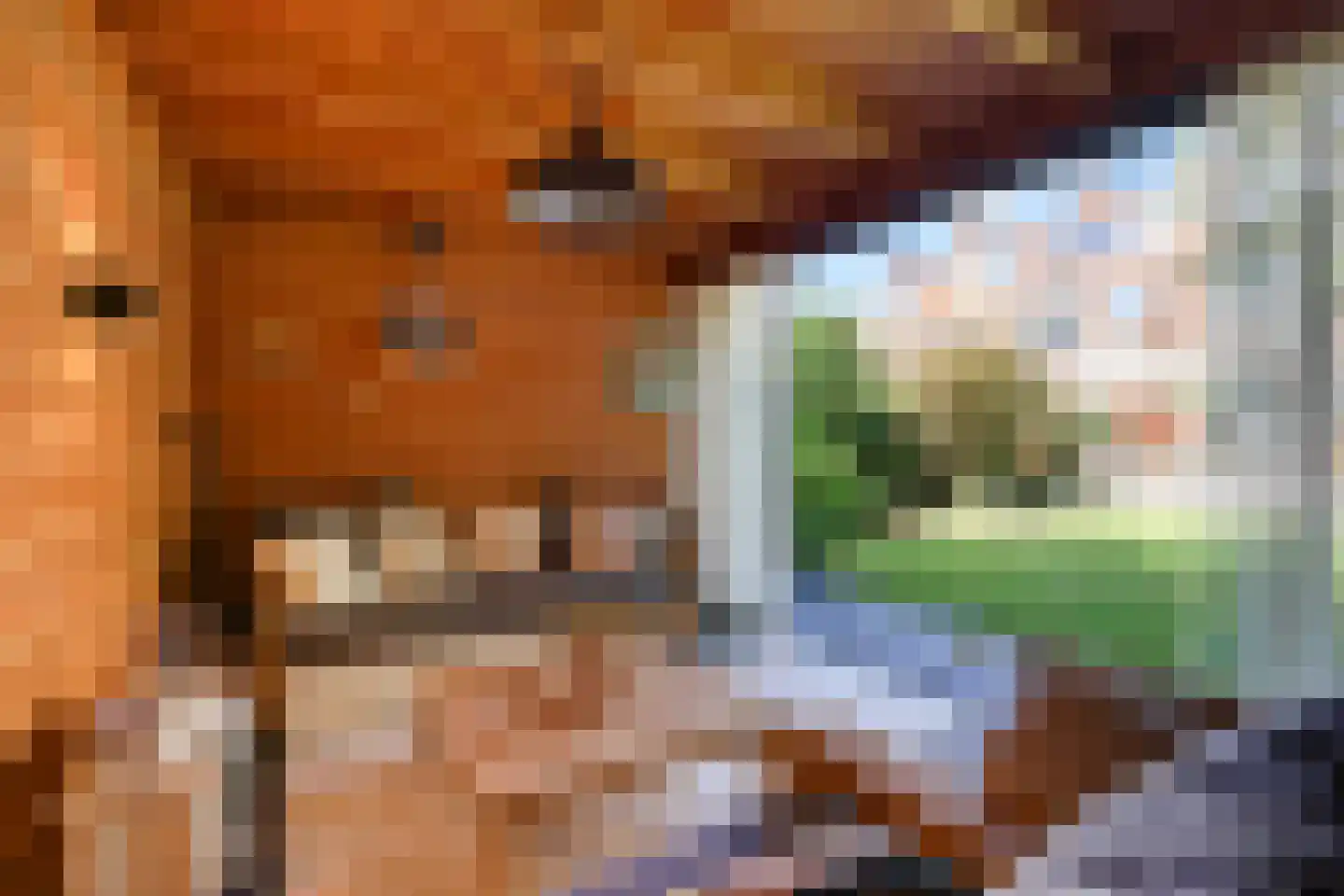 Spotvogellaan 94 Den Haag thumbnail 30