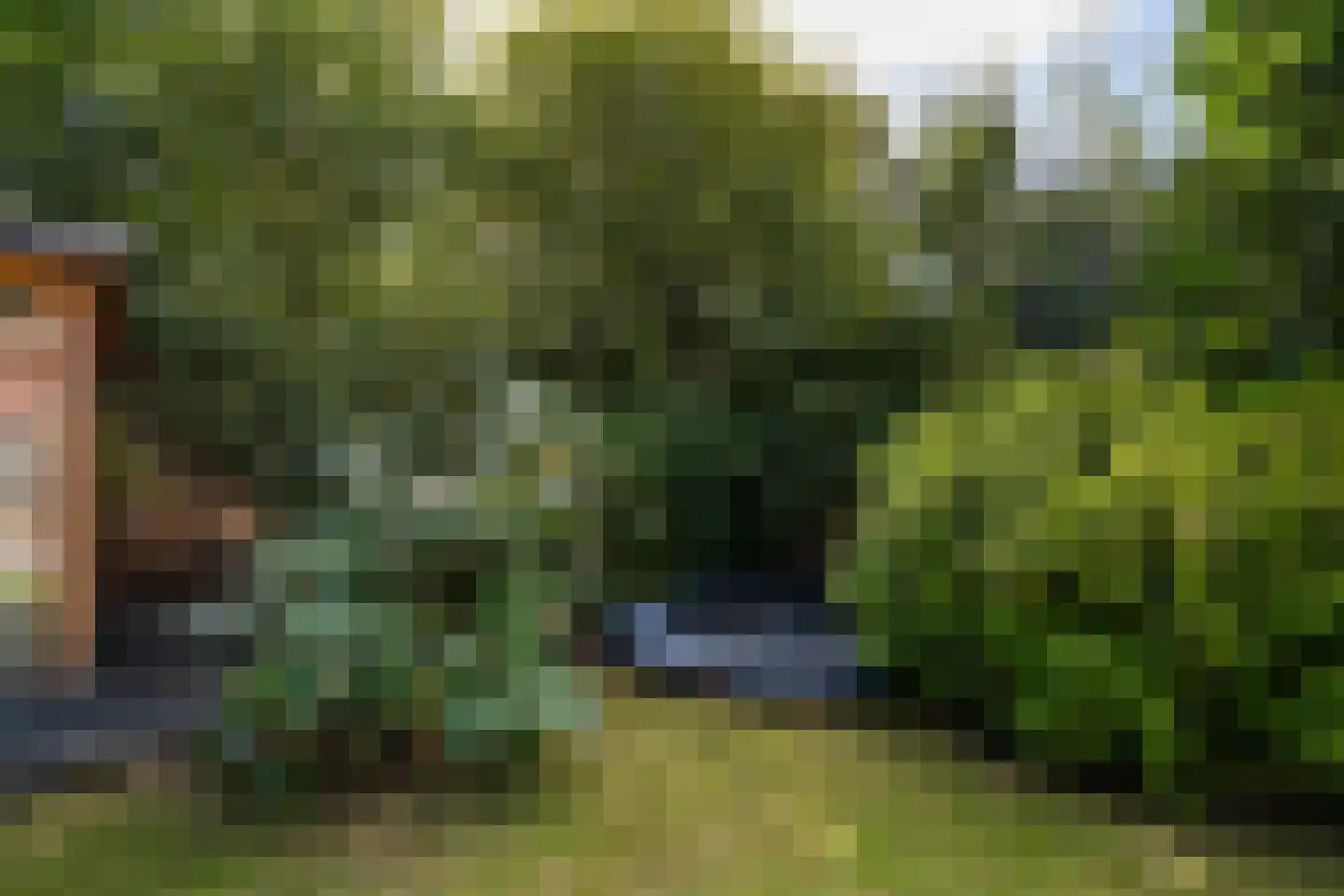 Spotvogellaan 94 Den Haag thumbnail 31
