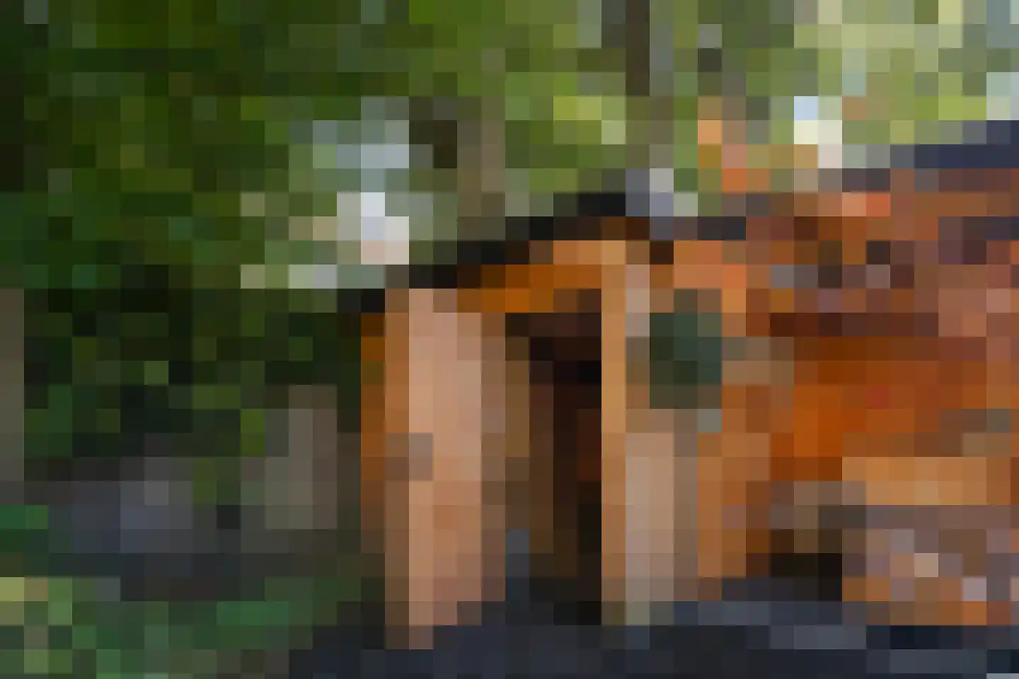 Spotvogellaan 94 Den Haag thumbnail 32