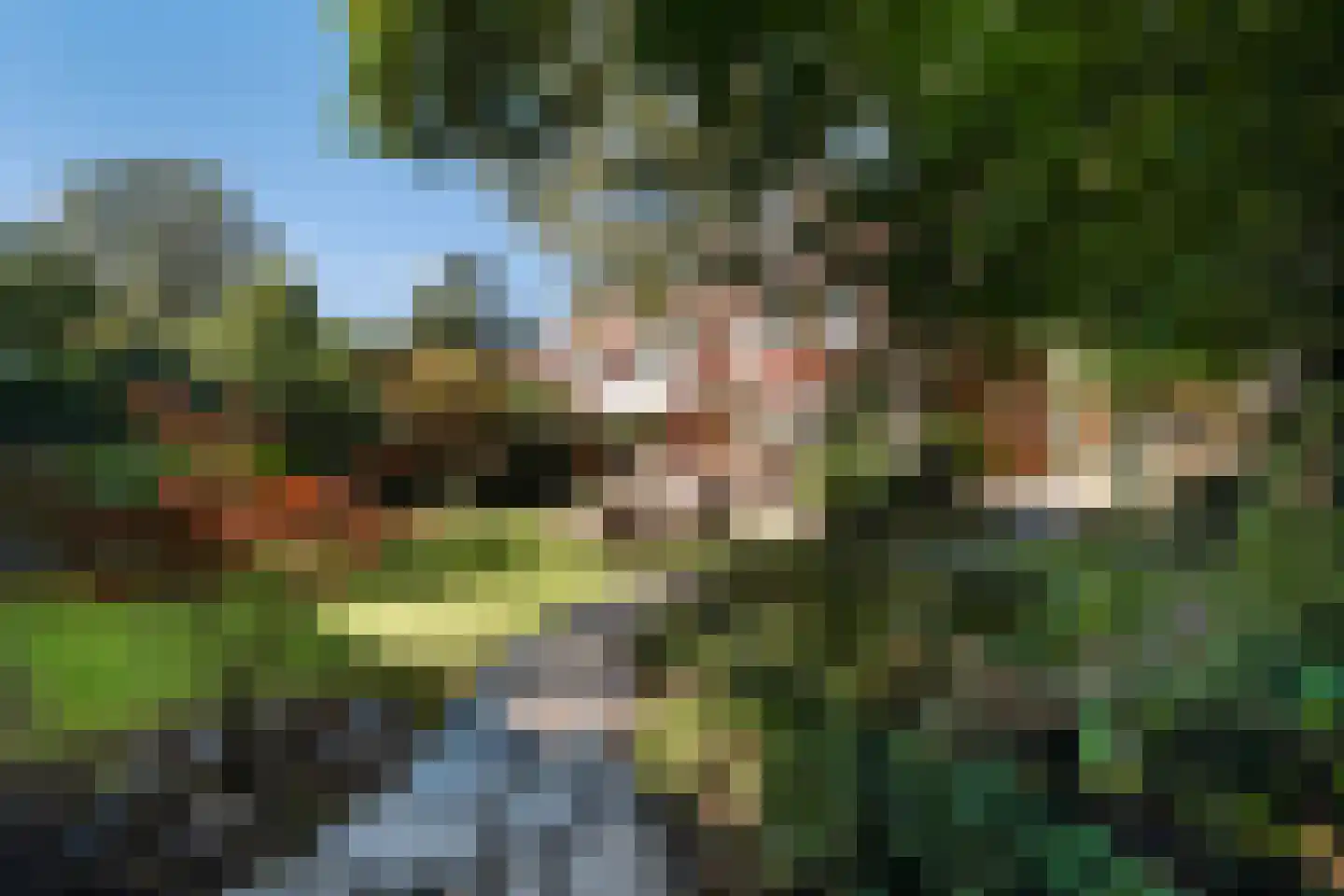 Spotvogellaan 94 Den Haag thumbnail 35