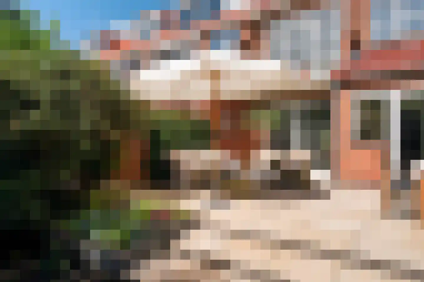 Spotvogellaan 94 Den Haag thumbnail 36