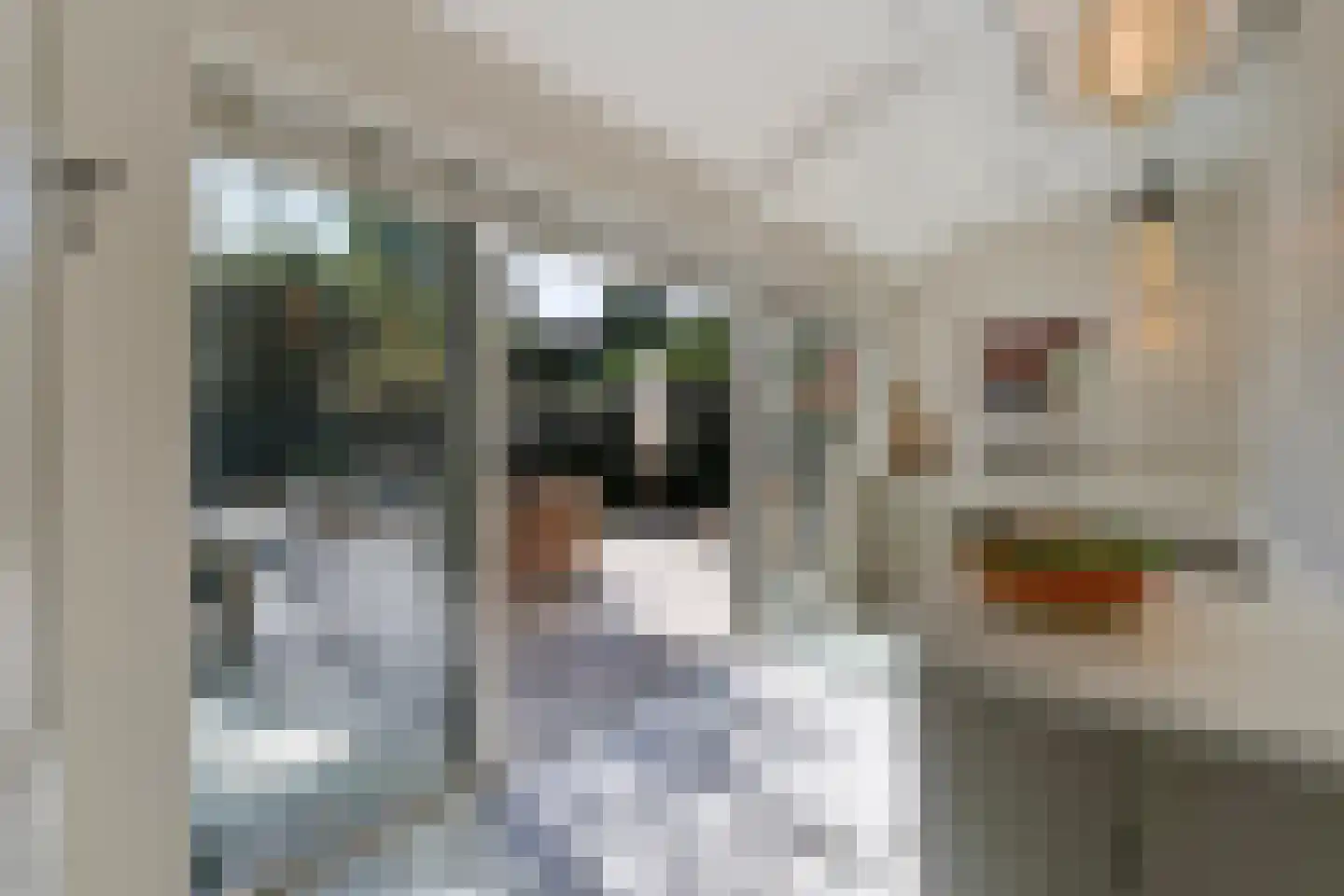 Spotvogellaan 94 Den Haag thumbnail 41
