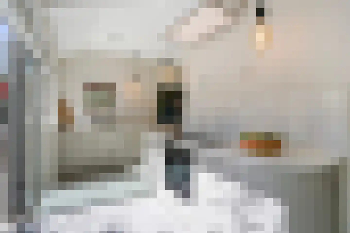 Spotvogellaan 94 Den Haag thumbnail 42