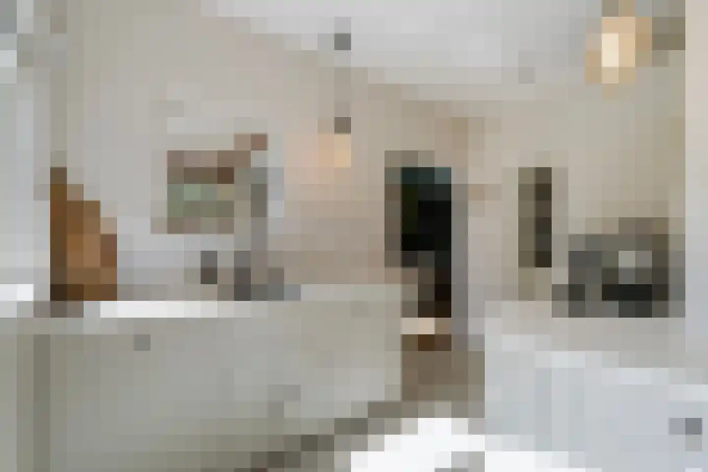 Spotvogellaan 94 Den Haag thumbnail 43