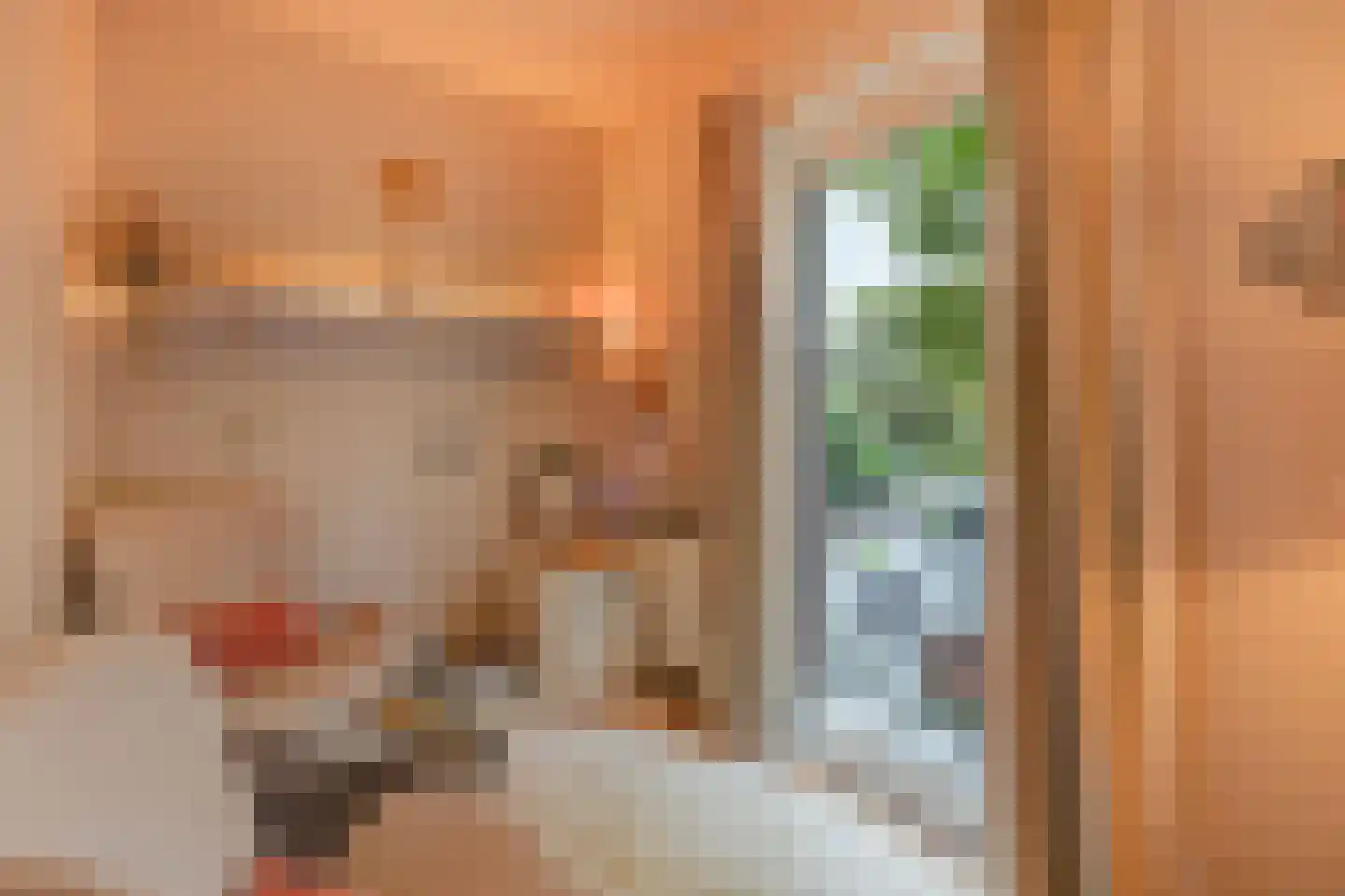 Spotvogellaan 94 Den Haag thumbnail 47