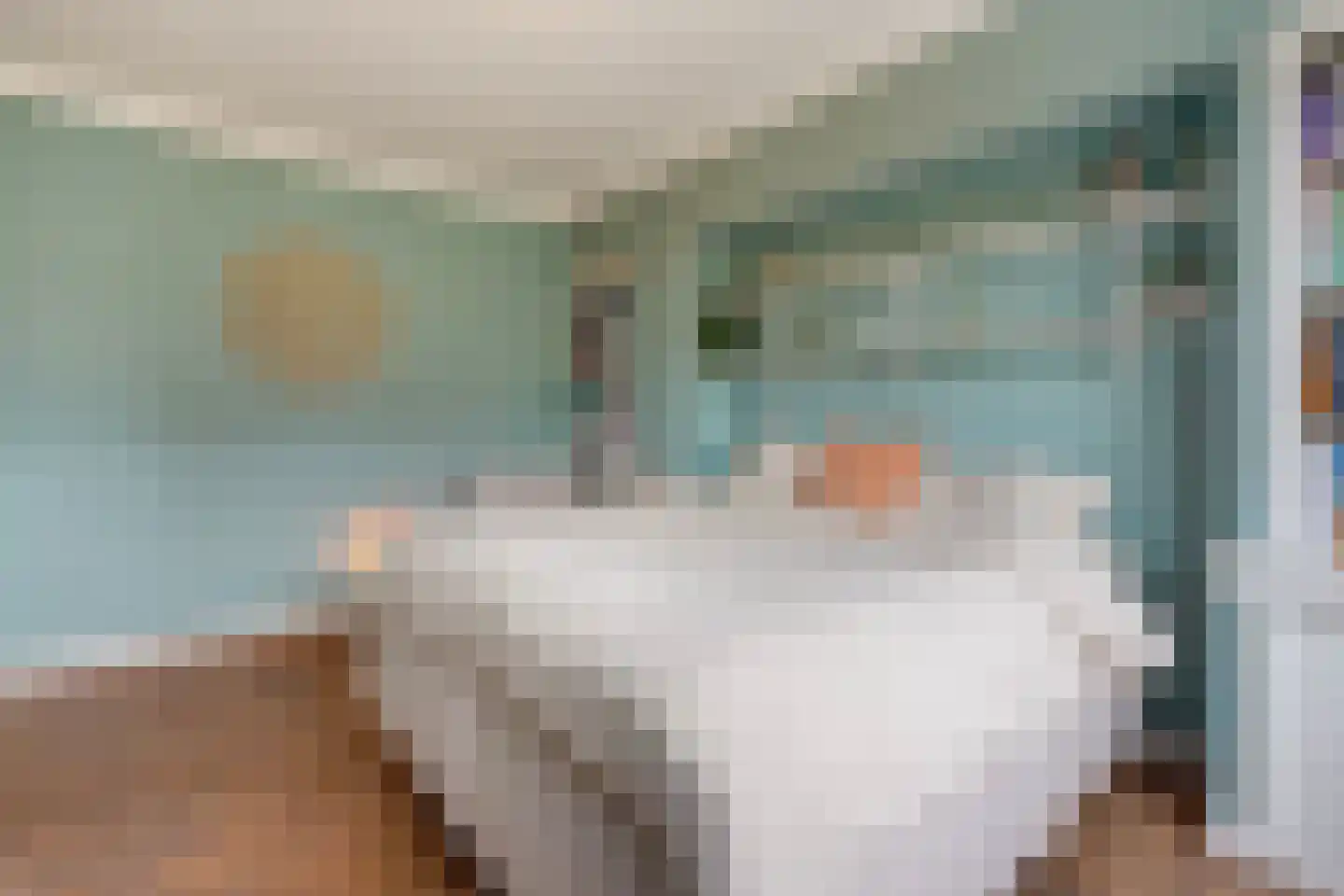 Spotvogellaan 94 Den Haag thumbnail 50