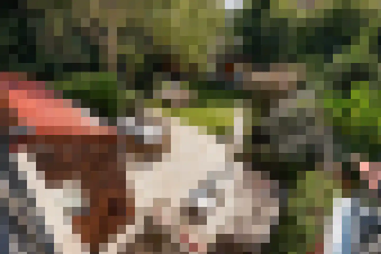 Spotvogellaan 94 Den Haag thumbnail 53