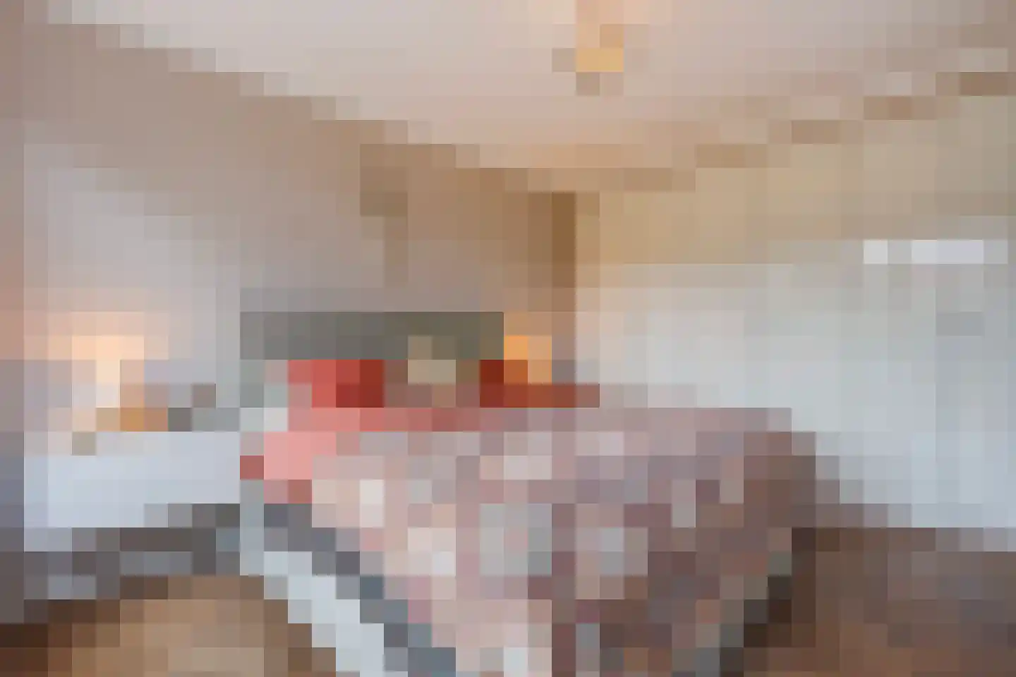 Spotvogellaan 94 Den Haag thumbnail 54