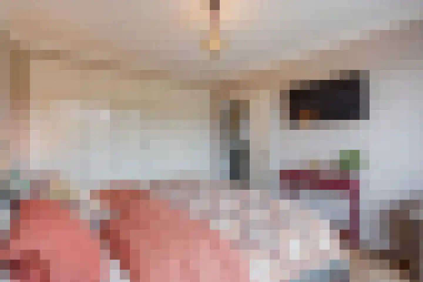 Spotvogellaan 94 Den Haag thumbnail 55