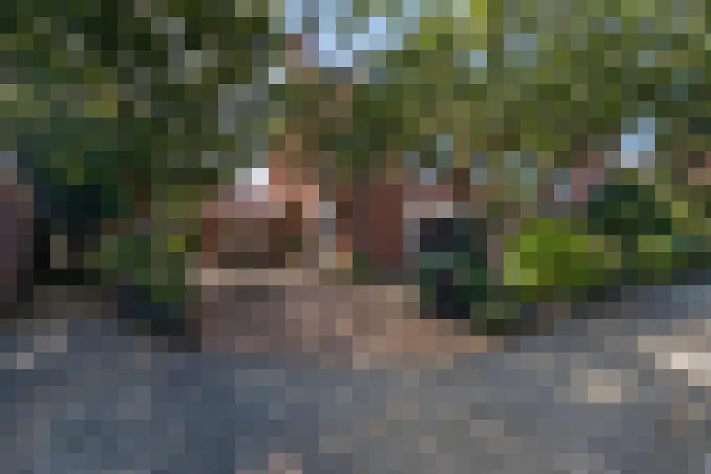Spotvogellaan 94 Den Haag thumbnail 6