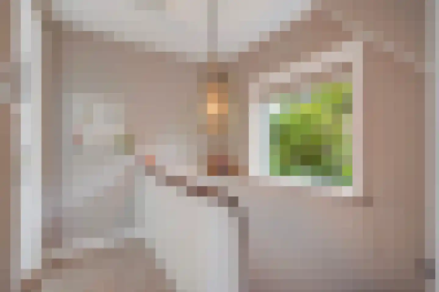 Spotvogellaan 94 Den Haag thumbnail 60