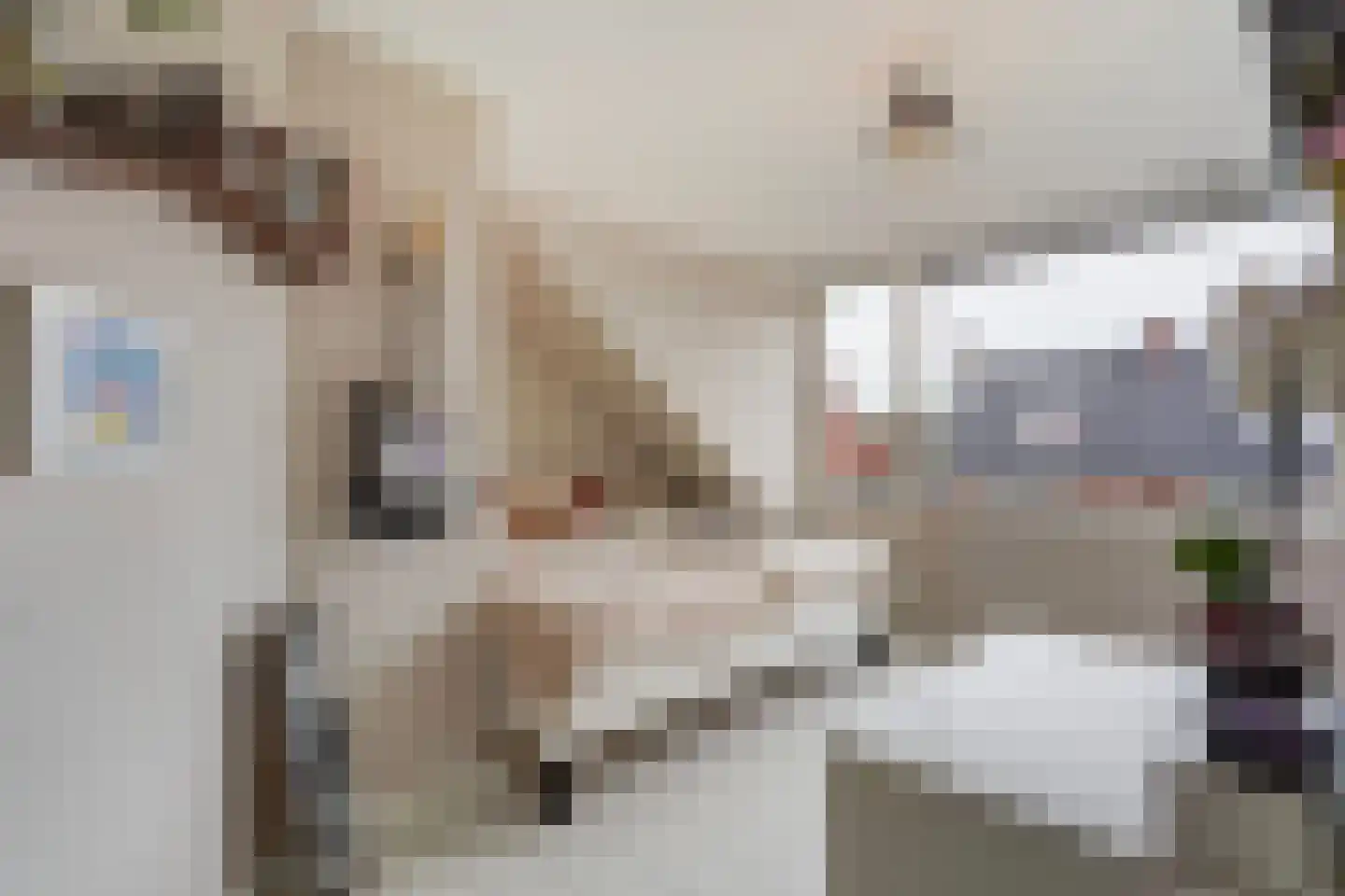 Spotvogellaan 94 Den Haag thumbnail 64