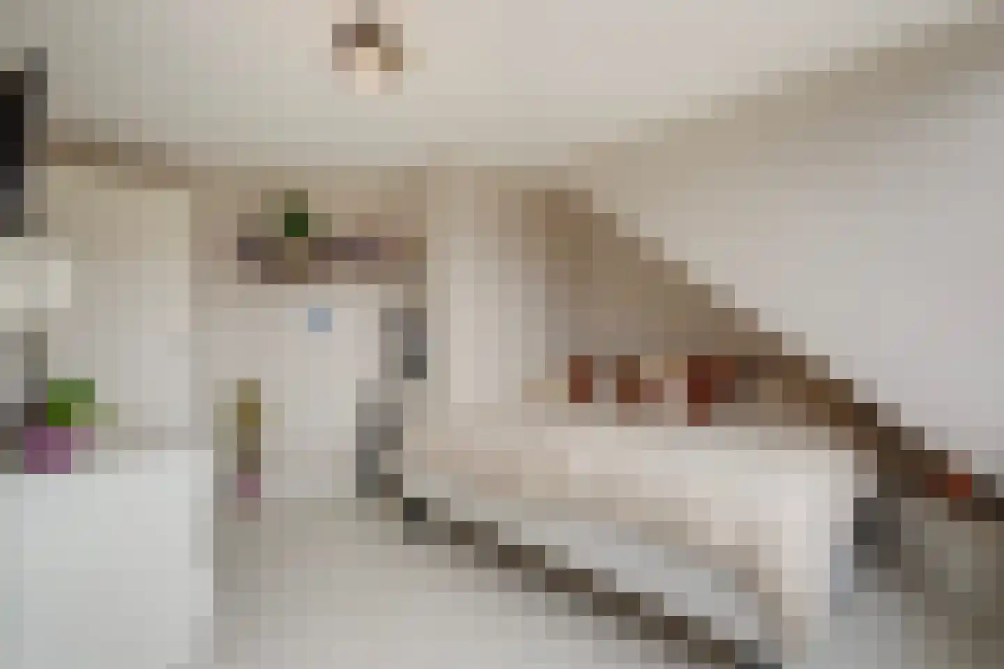 Spotvogellaan 94 Den Haag thumbnail 65