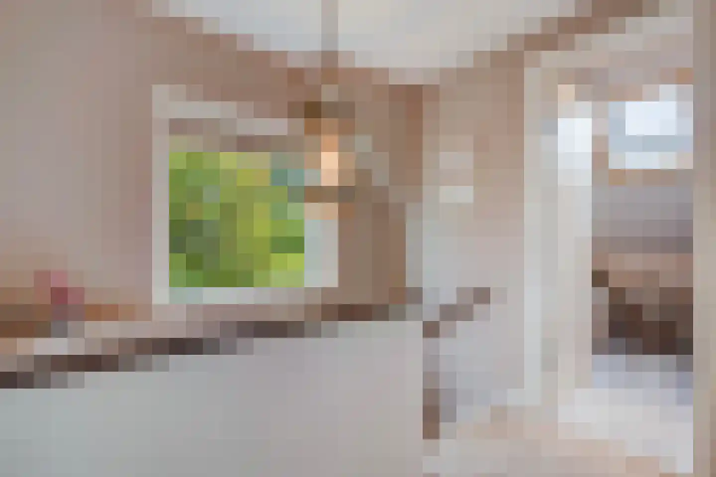 Spotvogellaan 94 Den Haag thumbnail 68