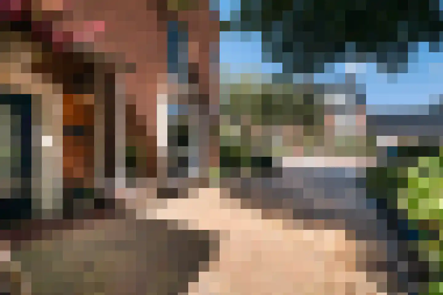 Spotvogellaan 94 Den Haag thumbnail 72