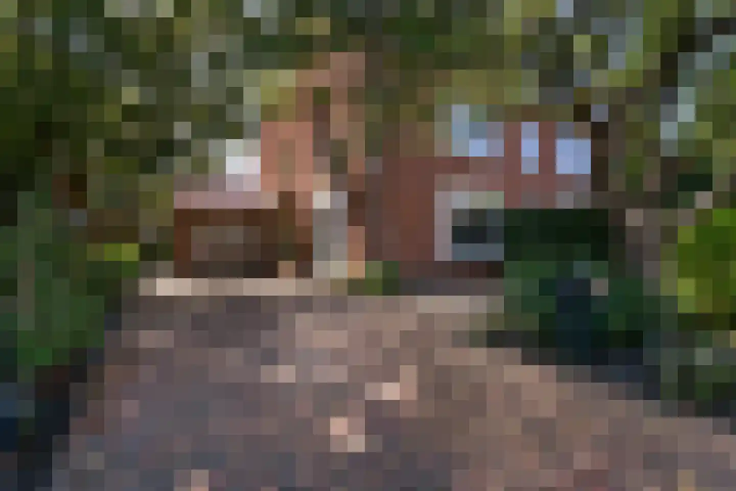 Spotvogellaan 94 Den Haag thumbnail 75