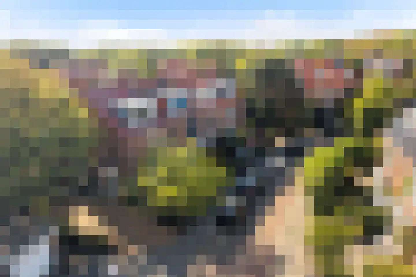Spotvogellaan 94 Den Haag thumbnail 77
