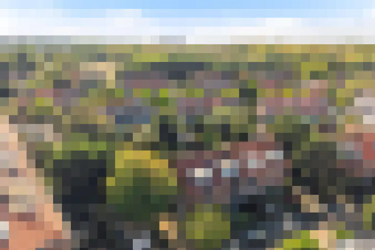 Spotvogellaan 94 Den Haag thumbnail 78