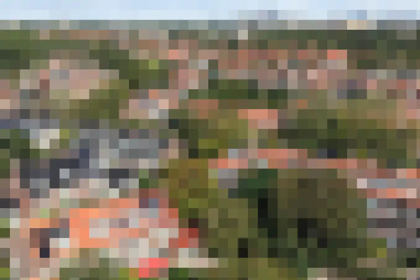 Spotvogellaan 94 Den Haag thumbnail 82
