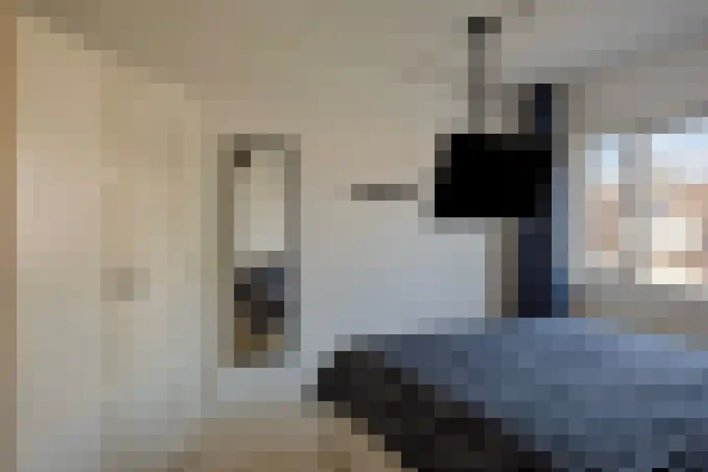Spotvogelstraat 35 Duiven thumbnail 12