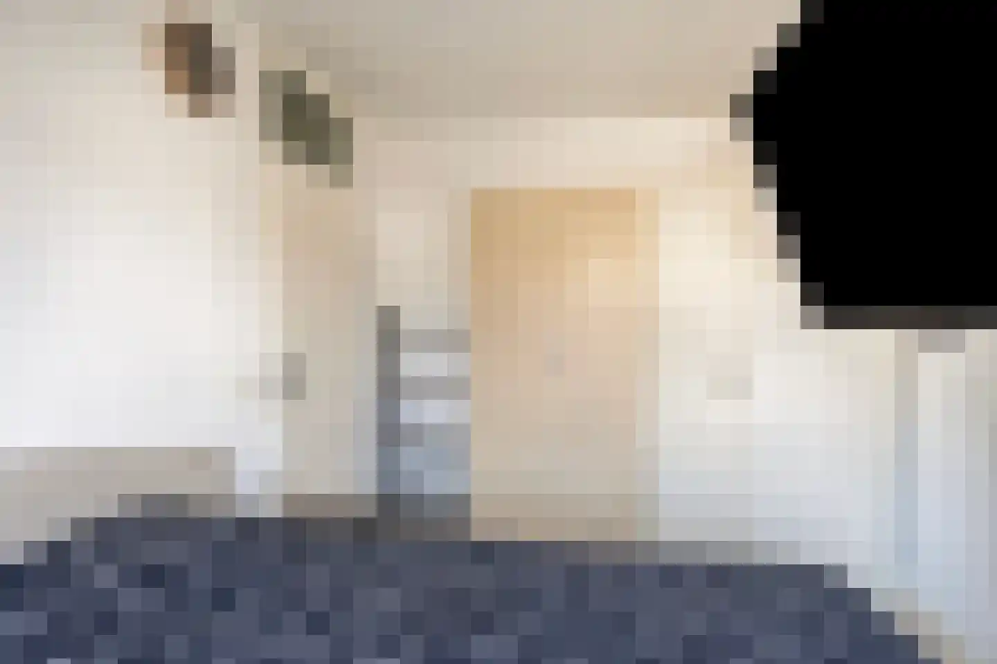 Spotvogelstraat 35 Duiven thumbnail 14