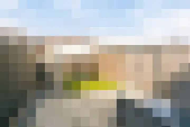 Spotvogelstraat 35 Duiven thumbnail 25