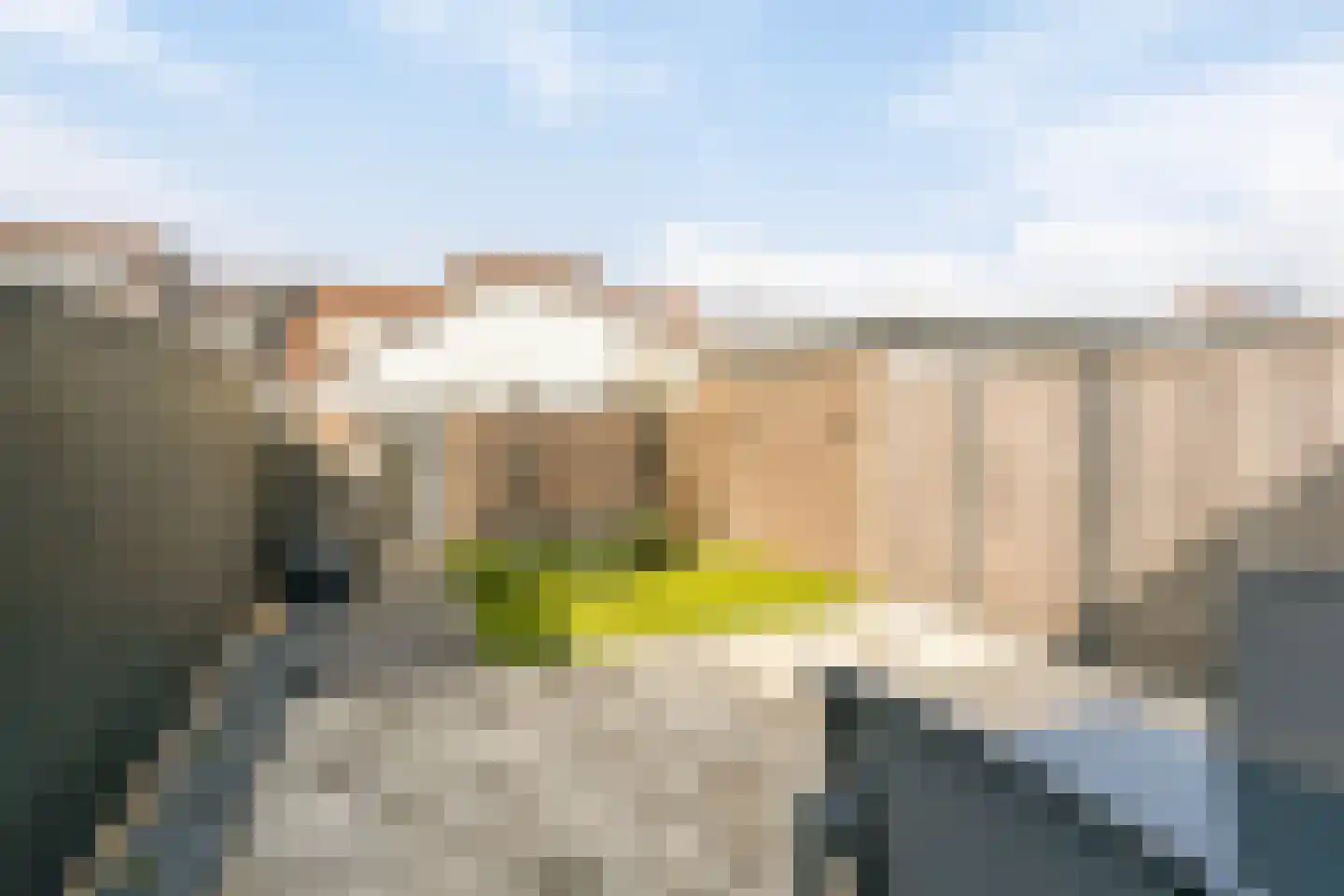 Spotvogelstraat 35 Duiven thumbnail 25