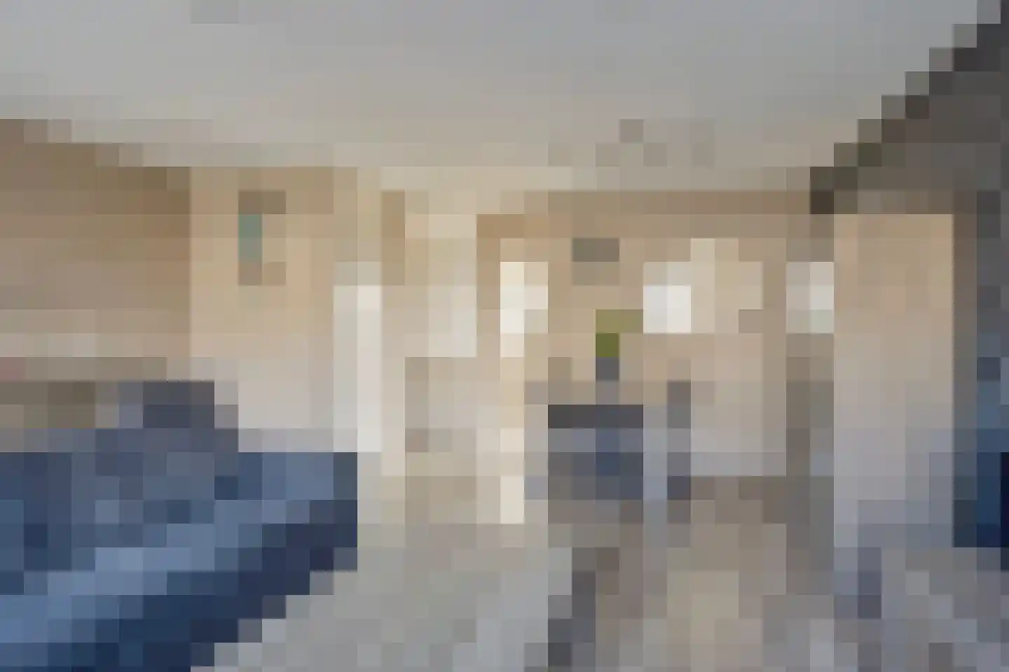 Spotvogelstraat 35 Duiven thumbnail 4