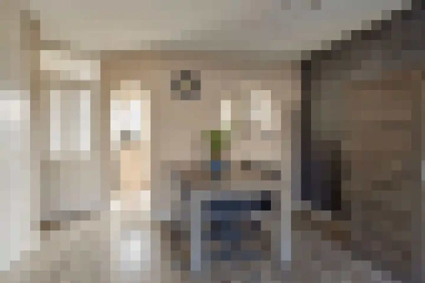 Spotvogelstraat 35 Duiven thumbnail 6
