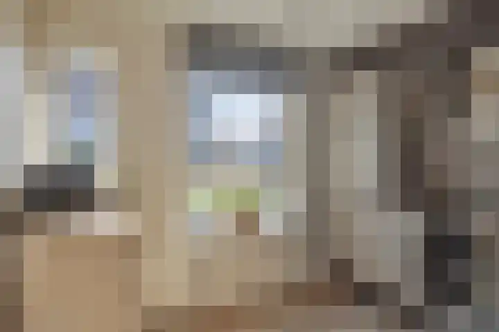 Spotvogelstraat 35 Duiven thumbnail 7