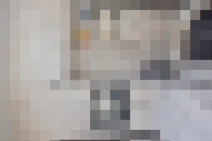 Spotvogelstraat 35 Duiven thumbnail 8