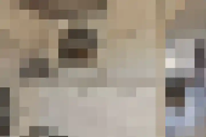 Spotvogelstraat 35 Duiven thumbnail 9