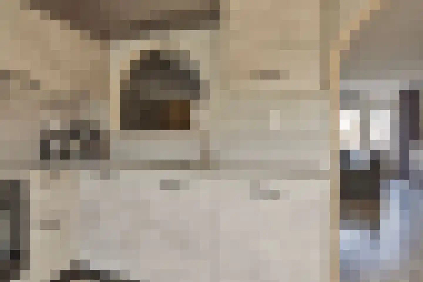 Spotvogelstraat 35 Duiven thumbnail 9