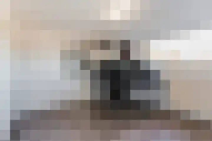 Spotvogelstraat 39 Nuenen thumbnail 31