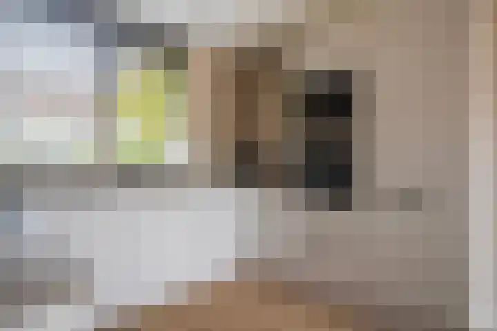 Spotvogelstraat 45 Duiven thumbnail 18