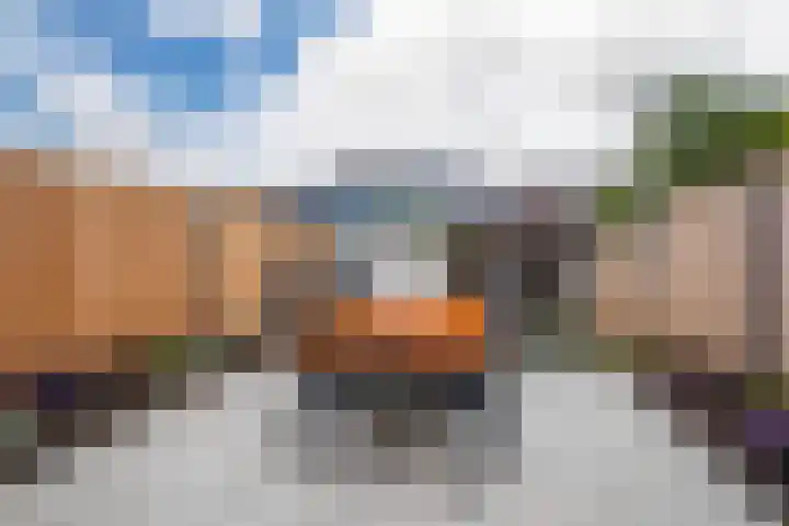 Spotvogelstraat 45 Duiven thumbnail 20