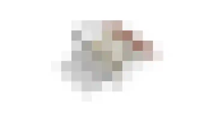 Spotvogelstraat 45 Duiven thumbnail 46
