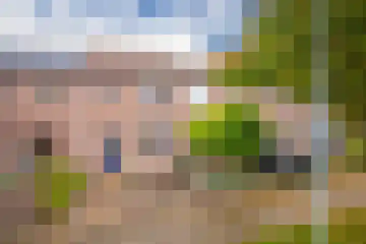 Spotvogelstraat 45 Duiven thumbnail 6