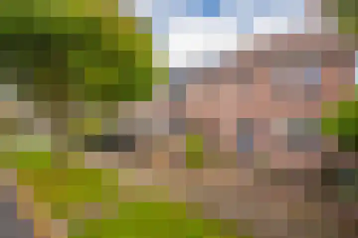 Spotvogelstraat 45 Duiven thumbnail 7