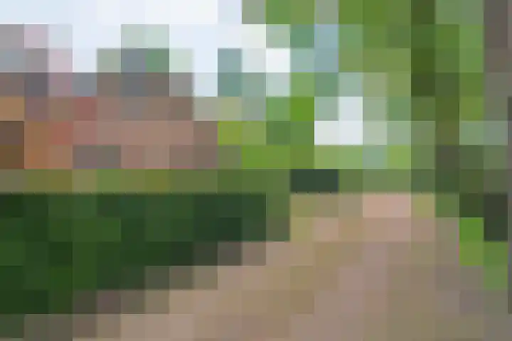 Sprakelingen 10 Wittelte thumbnail 10