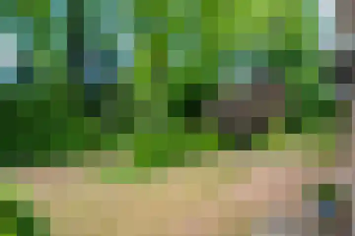 Sprakelingen 10 Wittelte thumbnail 11