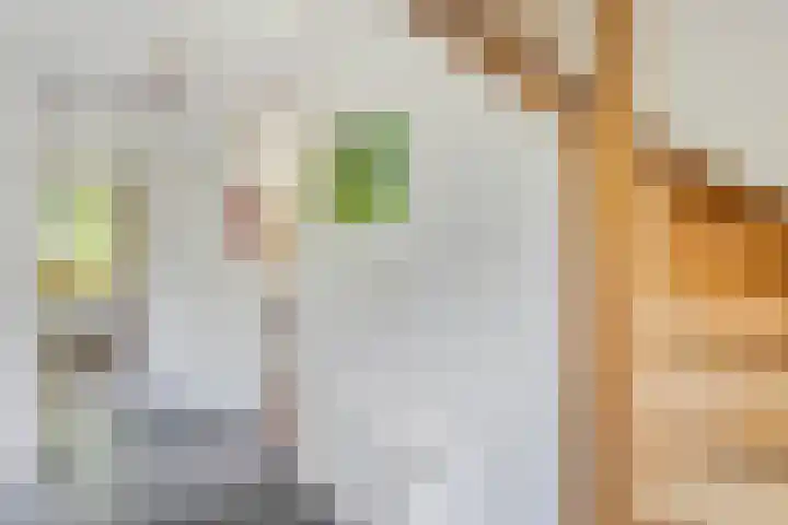 Sprakelingen 10 Wittelte thumbnail 14