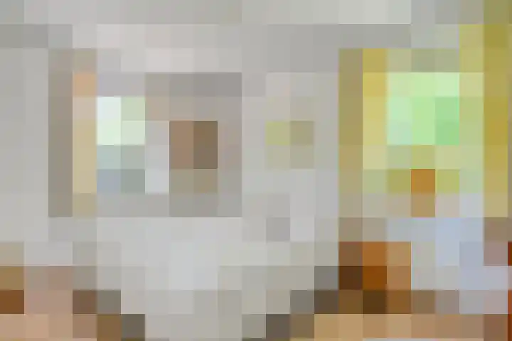 Sprakelingen 10 Wittelte thumbnail 15