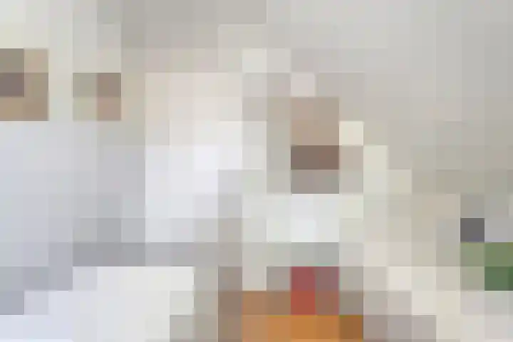 Sprakelingen 10 Wittelte thumbnail 29