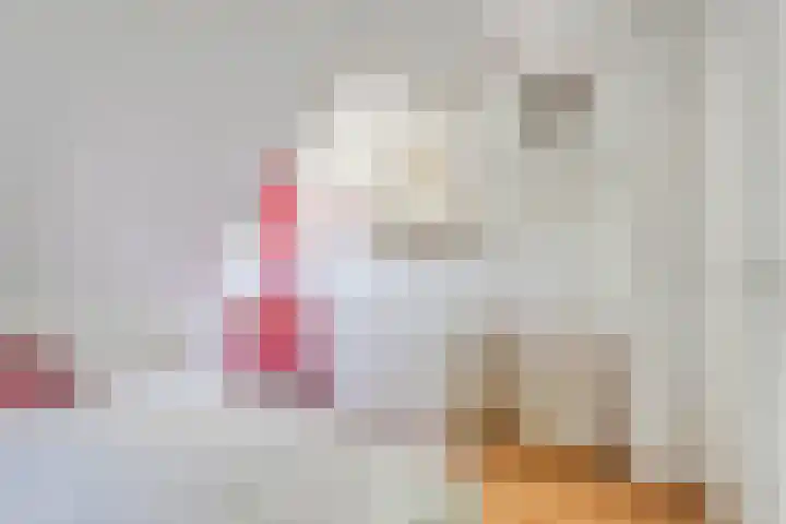 Sprakelingen 10 Wittelte thumbnail 31