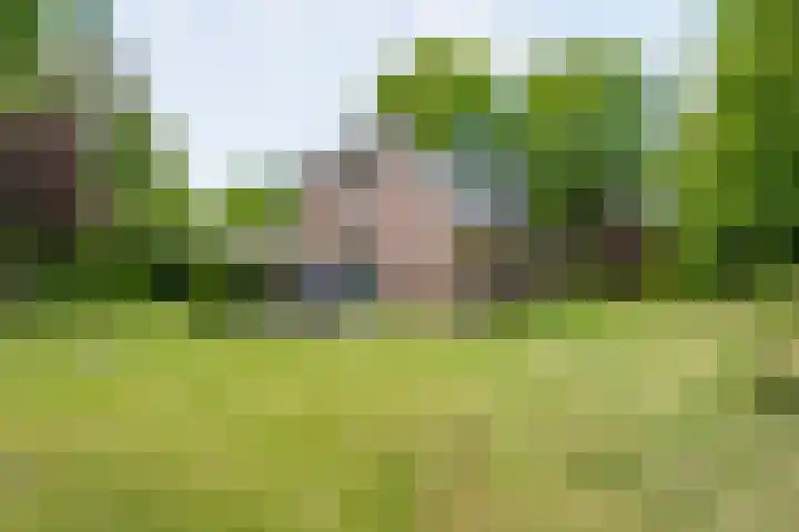 Sprakelingen 10 Wittelte thumbnail 35