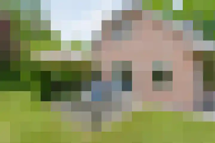 Sprakelingen 10 Wittelte thumbnail 36