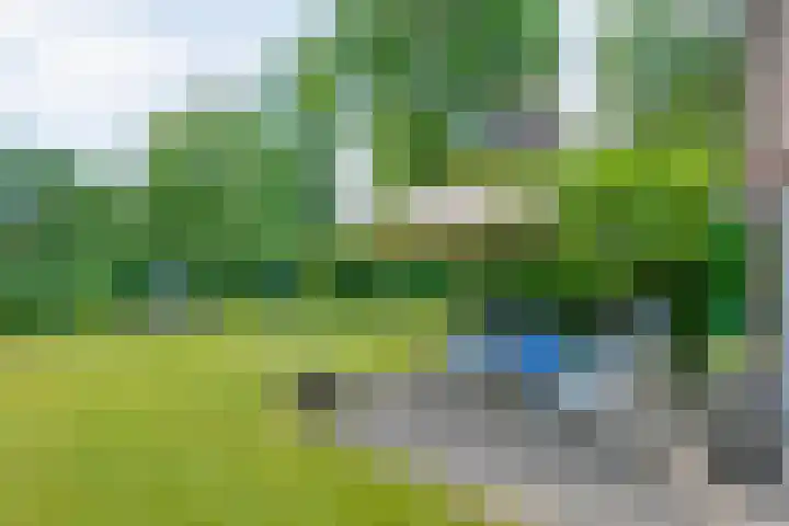 Sprakelingen 10 Wittelte thumbnail 37