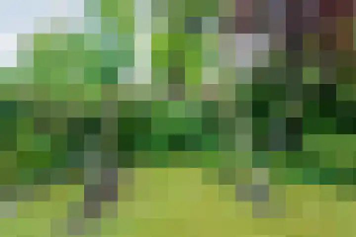 Sprakelingen 10 Wittelte thumbnail 38